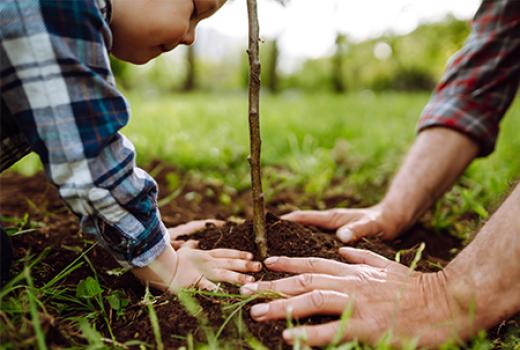 Child with adult planting a tree
